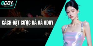 Cách Đặt Cược Đá Gà 8DAY