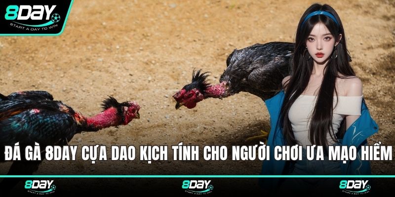 Đá Gà 8DAY cựa dao kịch tính cho người chơi ưa mạo hiểm