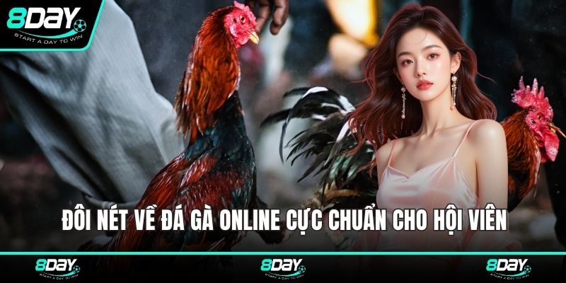 Đôi nét về đá gà online cực chuẩn cho hội viên