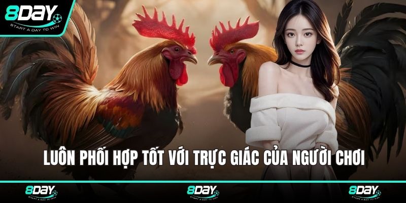 Luôn phối hợp tốt với trực giác của người chơi