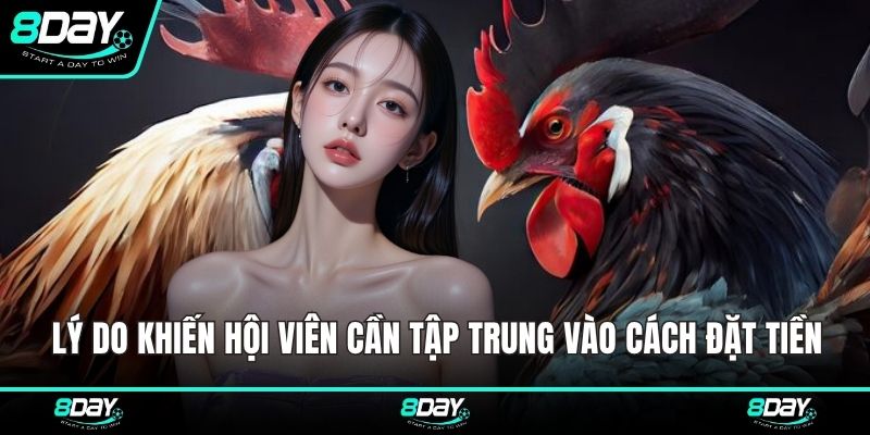 Lý do khiến hội viên cần tập trung vào cách đặt tiền