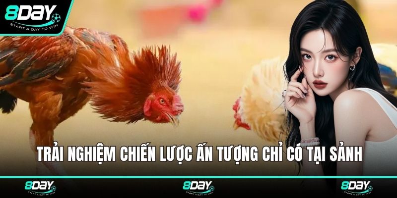 Trải nghiệm chiến lược ấn tượng chỉ có tại sảnh