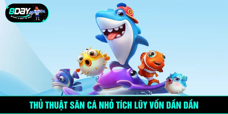 Thủ thuật săn cá nhỏ tích lũy vốn dần dần